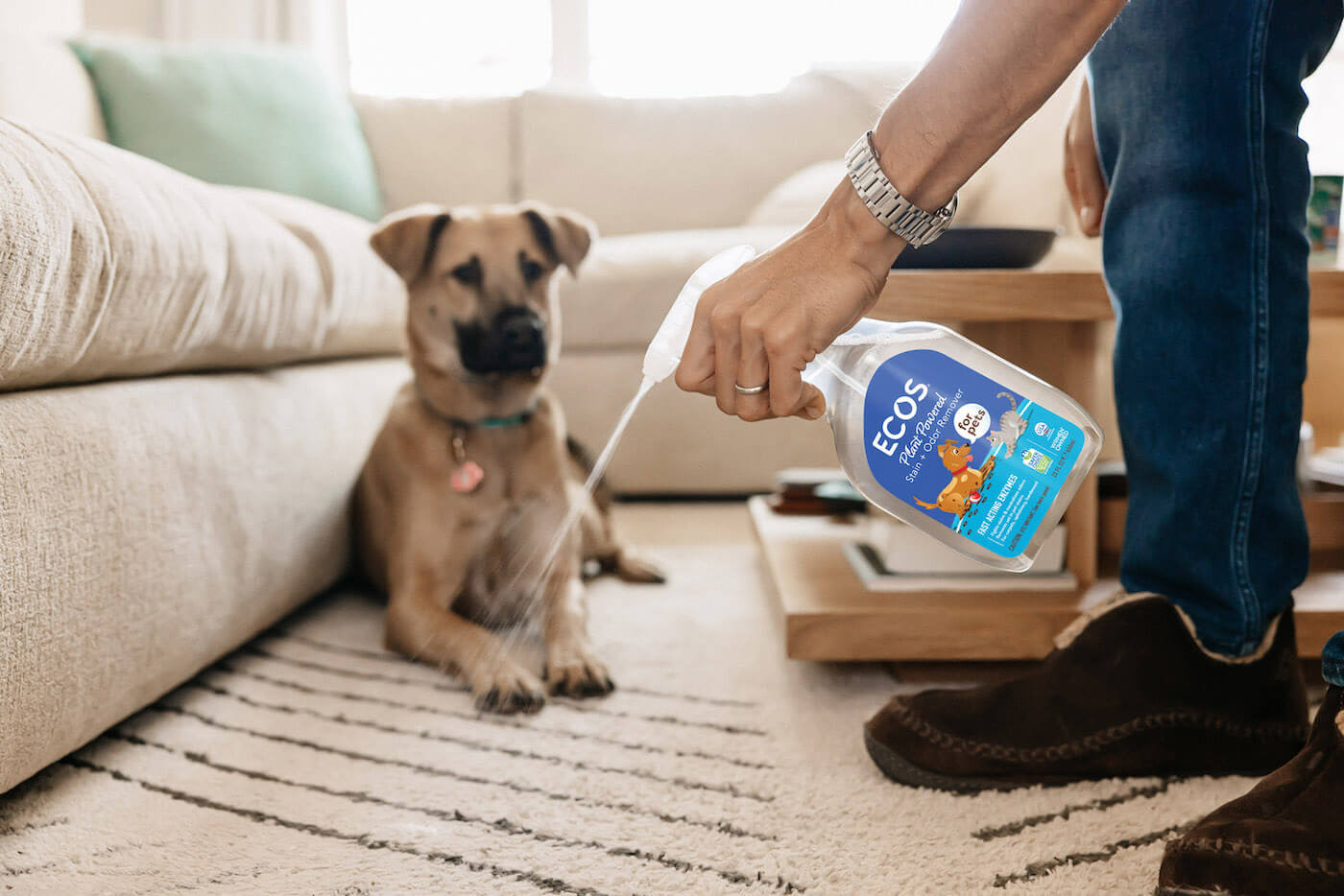 ECOS Pet Stain Odor Remover Instructions